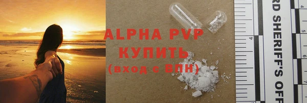PSILOCYBIN Балабаново