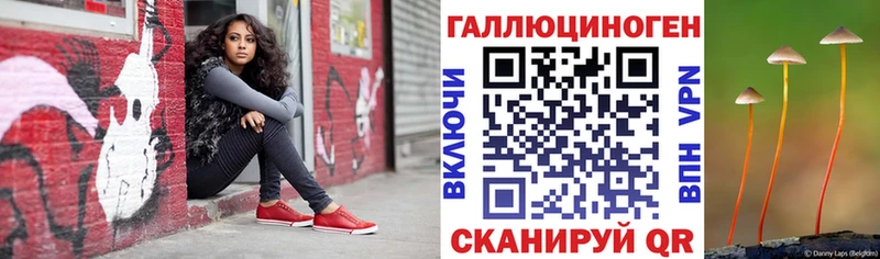 МЕГА онион  Няндома  Псилоцибиновые грибы MAGIC MUSHROOMS 